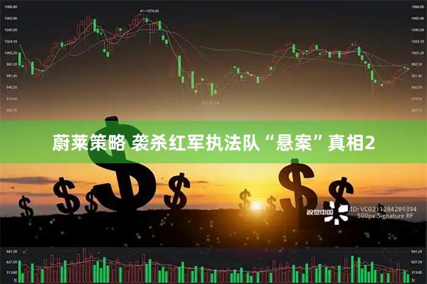 蔚莱策略 袭杀红军执法队“悬案”真相2